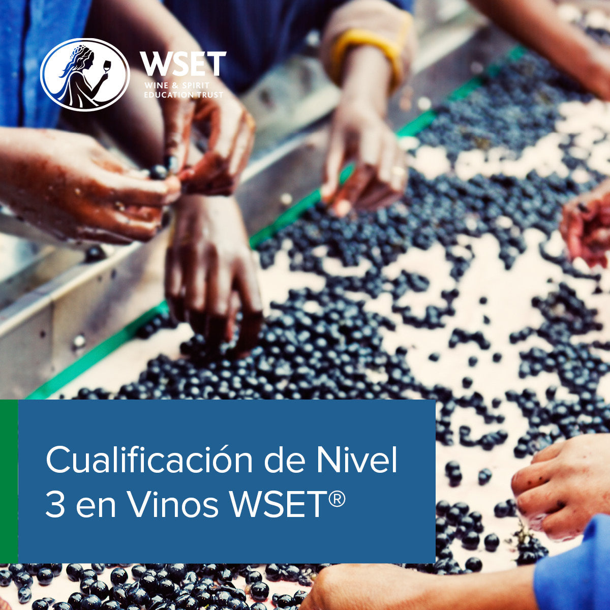 Curso Colombia: Nivel 3 en vinos WSET® con Ferran Centelles