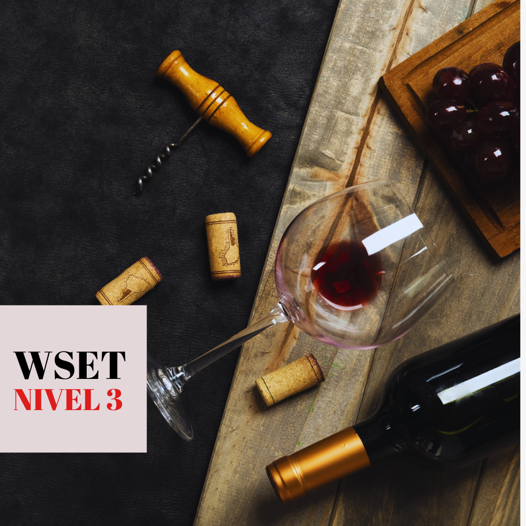Curso Chile: Nivel 3 en vinos WSET®