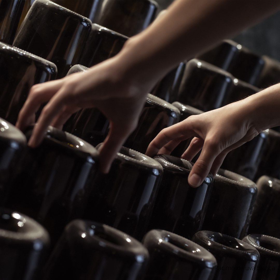 Disfruta las burbujas: ABC del Espumante con The Wine School Latam