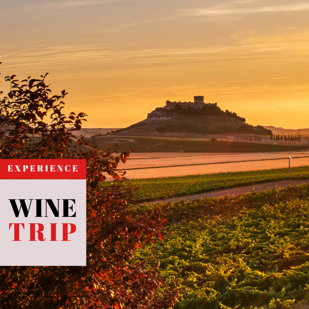 Preventa: Wine Trip España 2026 con Ferran Centelles