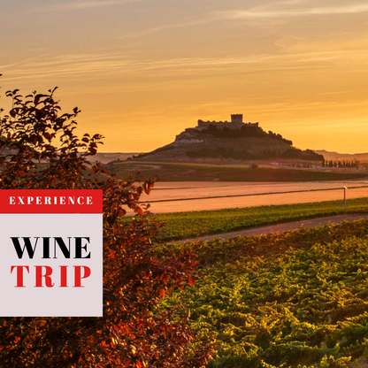 Preventa: Wine Trip España 2026 con Ferran Centelles