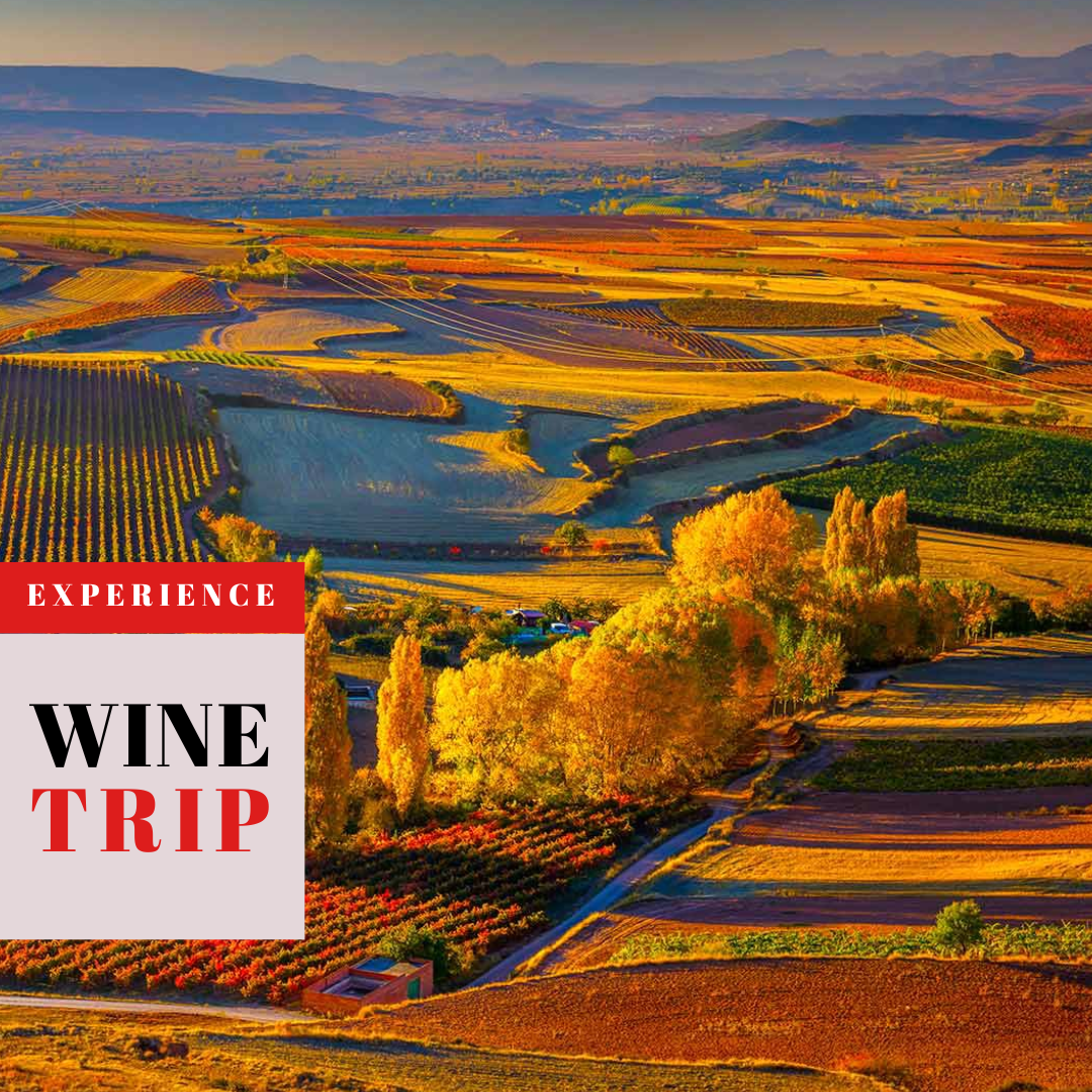 Preventa: Wine Trip España 2026 con Ferran Centelles