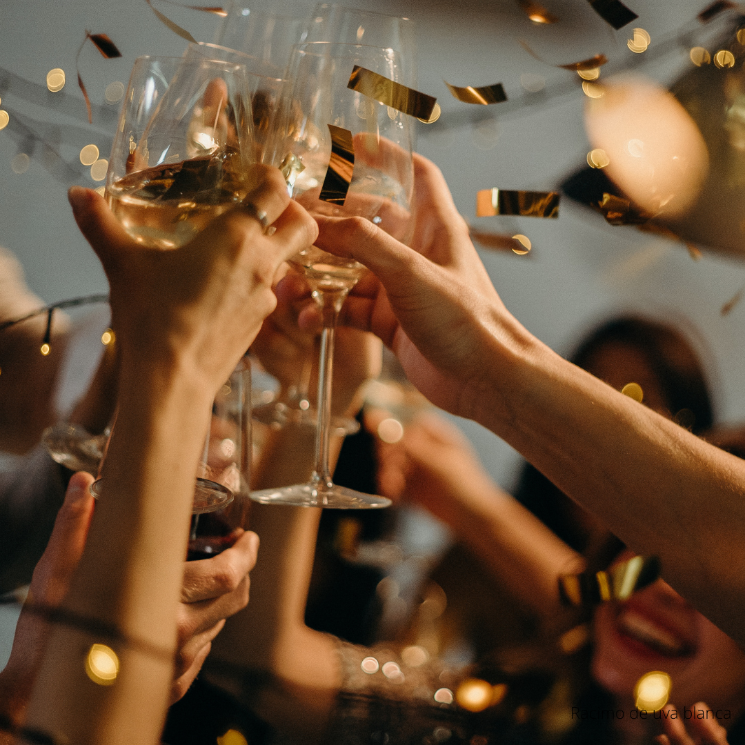 Disfruta las burbujas: ABC del Espumante con The Wine School Latam