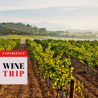 Preventa: Wine Trip España 2026 con Ferran Centelles