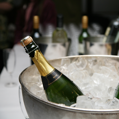 Disfruta las burbujas: ABC del Espumante con The Wine School Latam