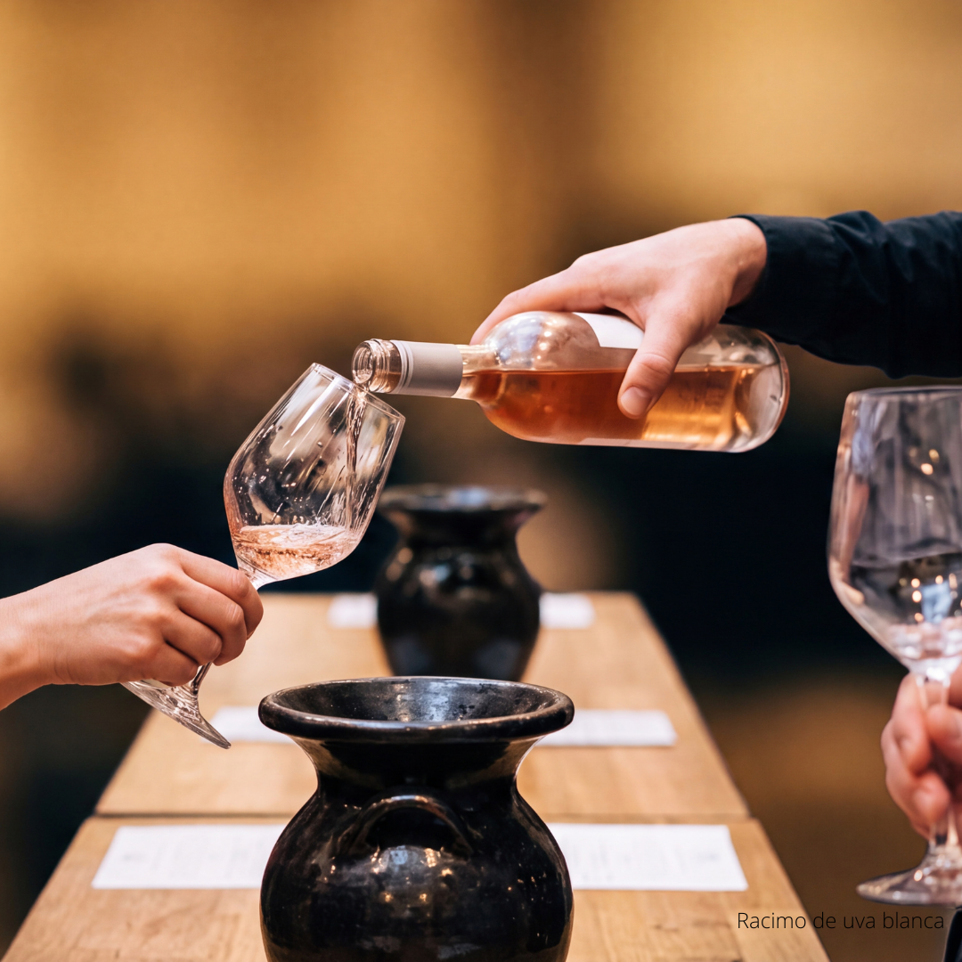 Descubre el fascinante mundo del vino: ABC del Vino con The Wine School Latam