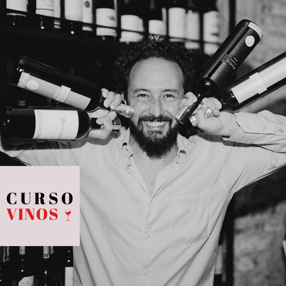 Curso: Vinos, Comunicación y Servicio con Nicolás Reines
