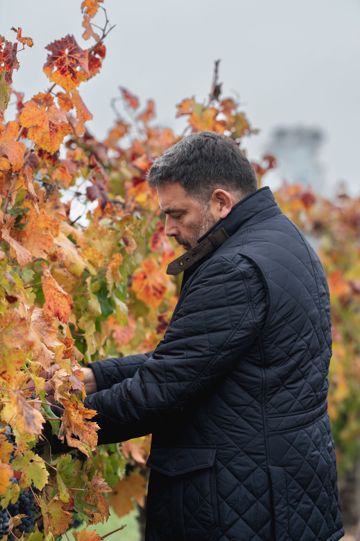 Masterclass Exclusiva: El Terroir de Peumo y sus secretos con Marcio Ramírez