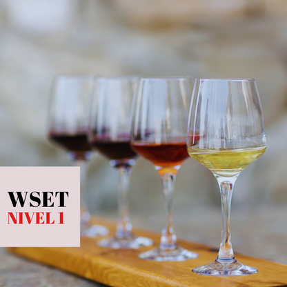 Curso Chile: Nivel 1 en vinos WSET®